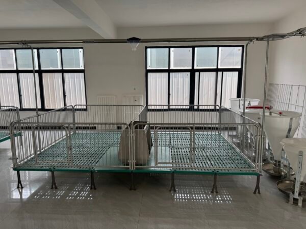 Stainless Steel Piglet Nursery Pen for Pig Farm