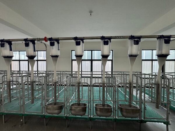 Sow Gestation pen Galvanized Pig Farrowing Crates pen