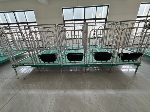 Sow Gestation pen Galvanized Pig Farrowing Crates pen - Image 3