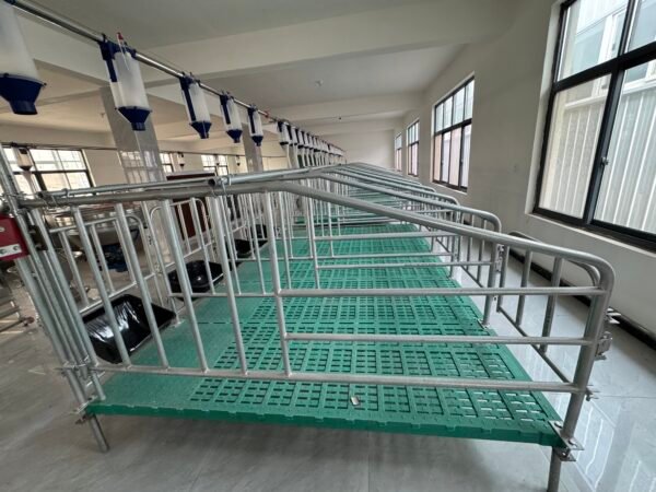 Sow Gestation pen Galvanized Pig Farrowing Crates pen - Image 4