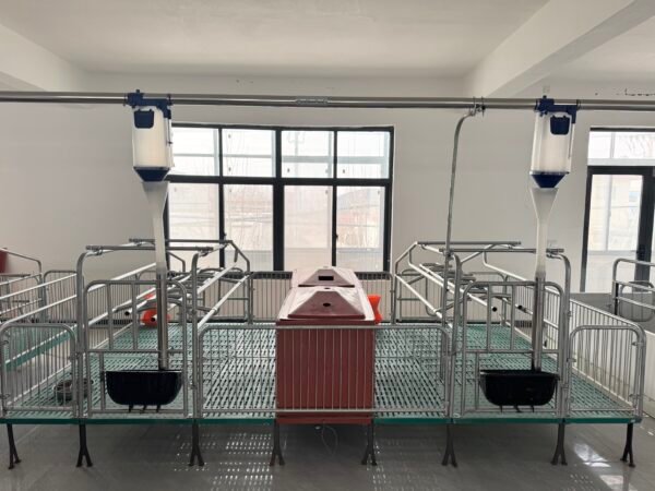 Hot dip galvanized High quality steel pipe Double Sow Farrowing Cage Pig Farrow Pen Stalls Animal crate